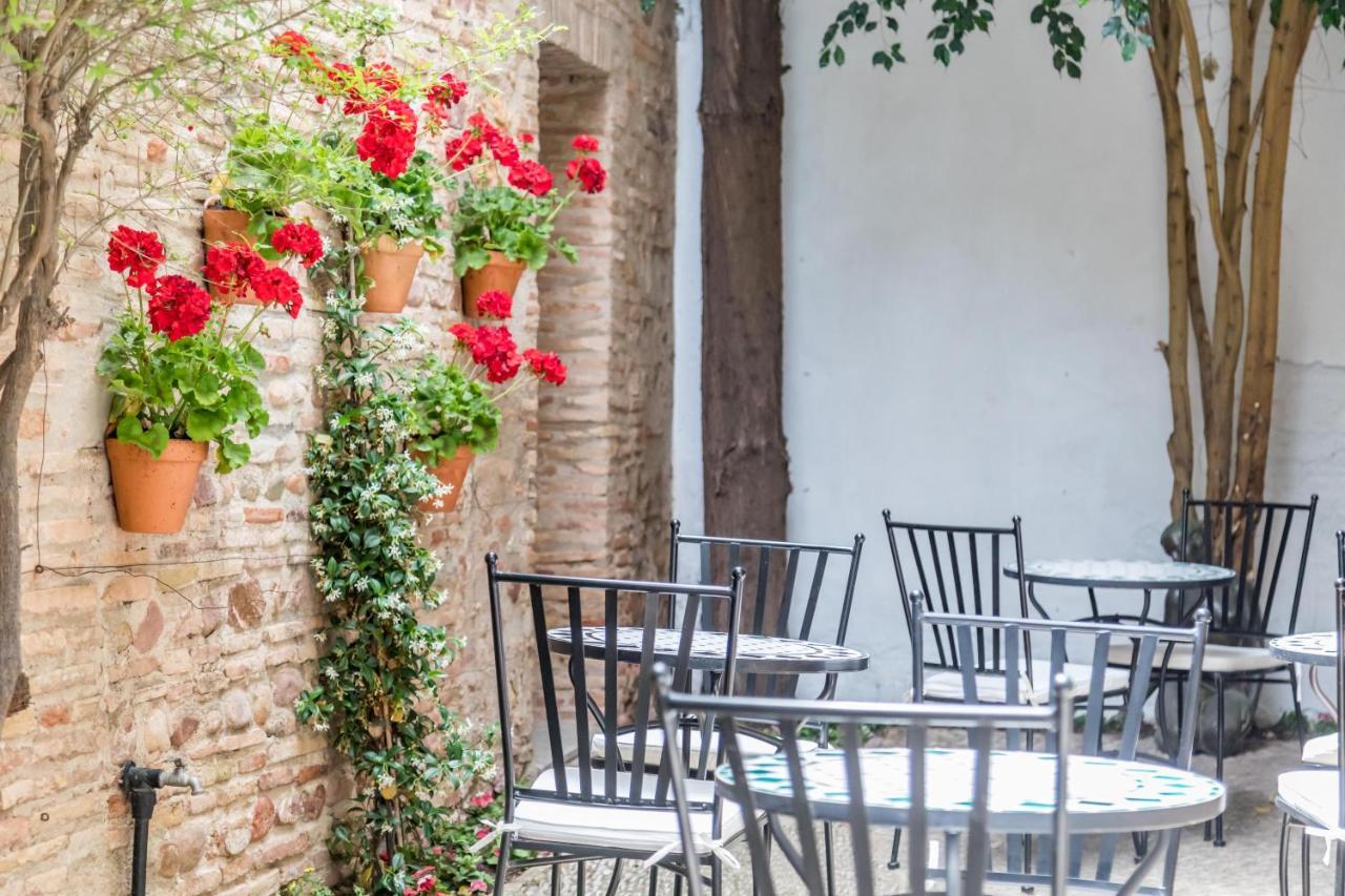בוריאנה Alqueria Calatrava B&B מראה חיצוני תמונה