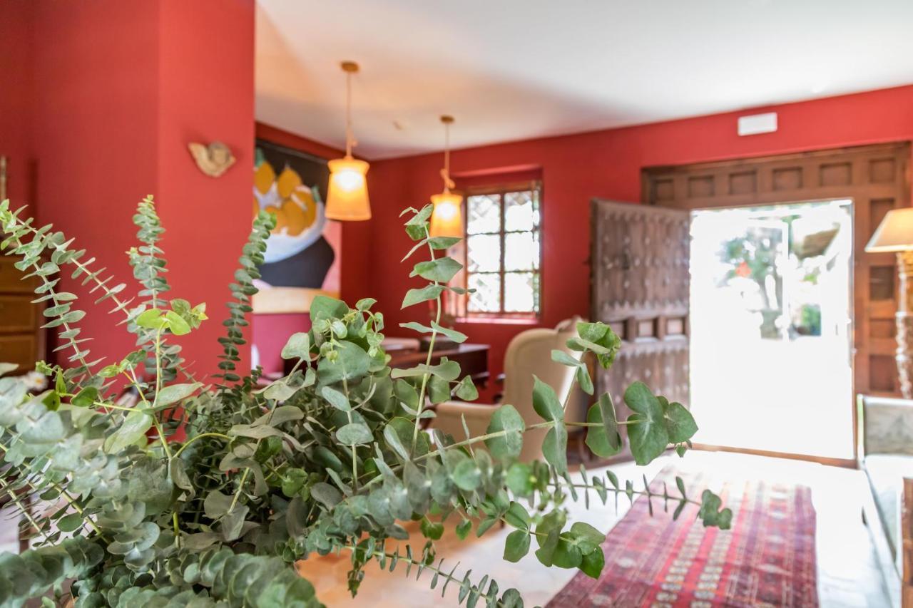 בוריאנה Alqueria Calatrava B&B מראה חיצוני תמונה